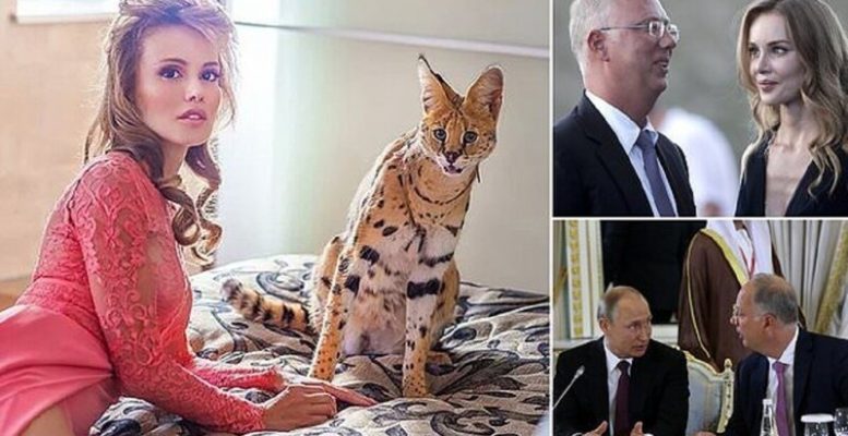 Bribe from the husband of Katerina Tikhonova's best friend