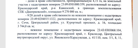 Vitya Nerussky, Kolya Gusein, Robson and the former chief judge of Kuban