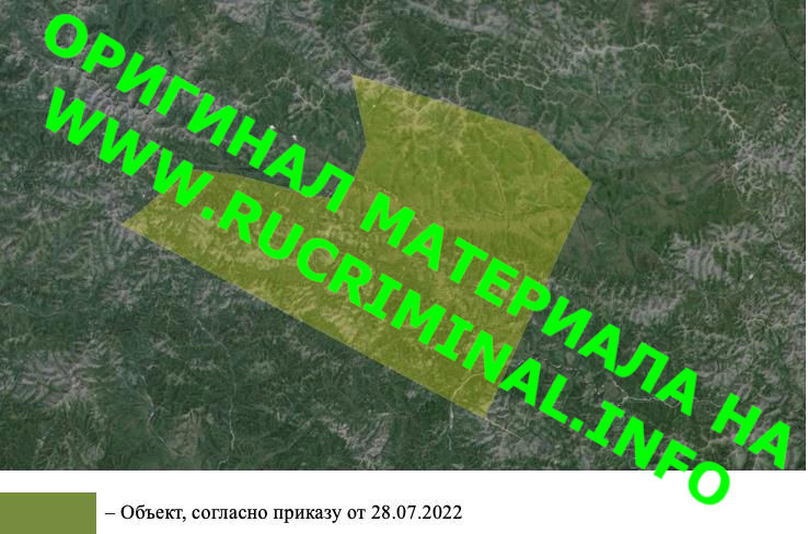 Who are the main participants in the division of gold deposits in Russia