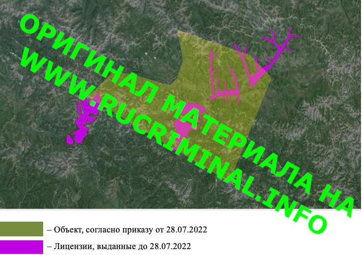 Who are the main participants in the division of gold deposits in Russia